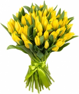 Тюльпани жовті